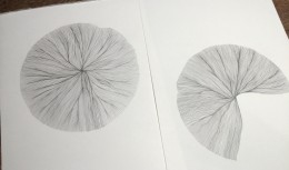 Contract (2015) - works in progress, graphite on bristol board, 21cm x 30cm each 